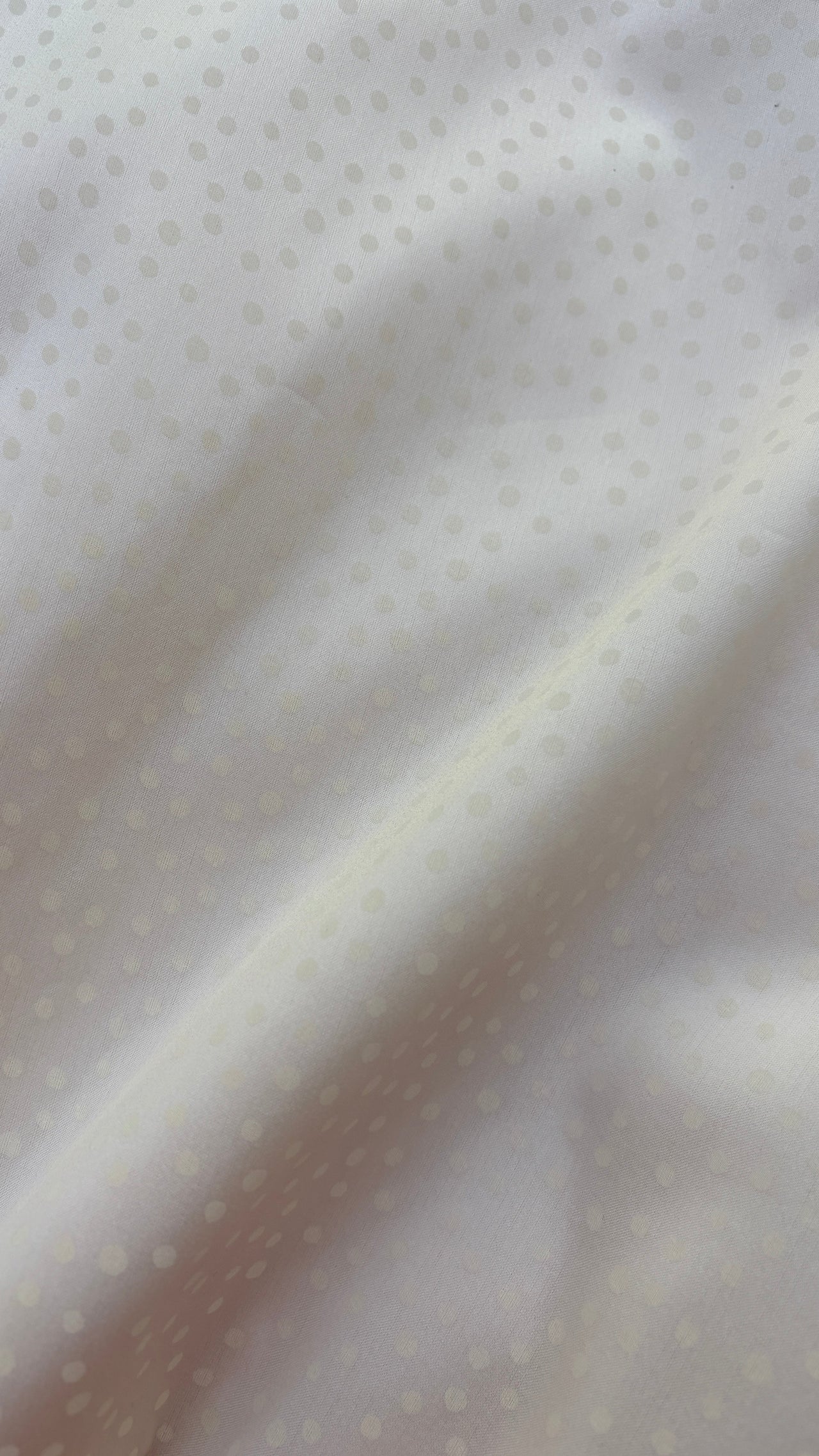 Silky Polky (M)